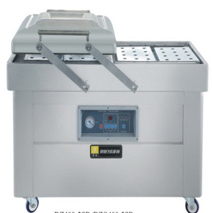 DZ500-2SB Double chamber vacuum Machine